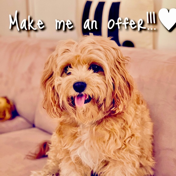 Offers Welcome! - Picture 1 of 1